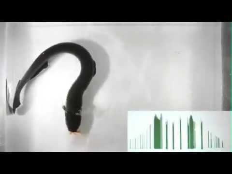 Miniatura del vídeo