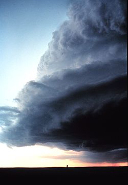 Nube estantería (shelf cloud)